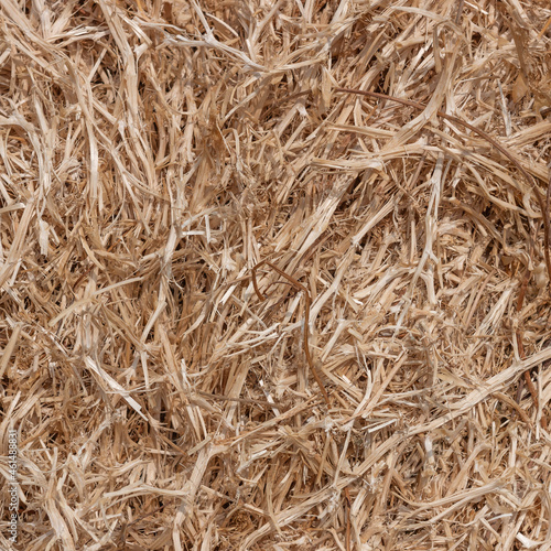 Dry grass. Straw. Background.