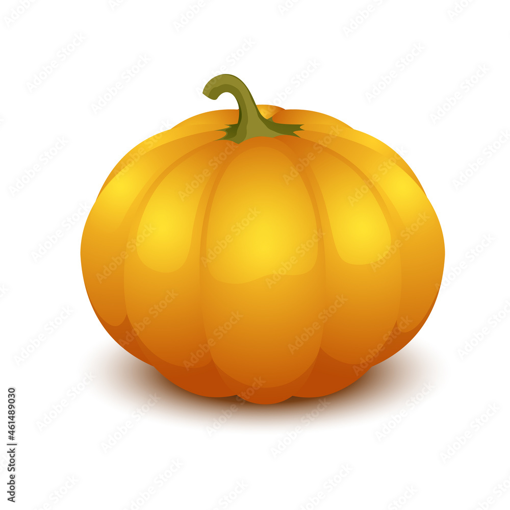 Obraz premium Vector illustration of glossy pumpkin isolated on white