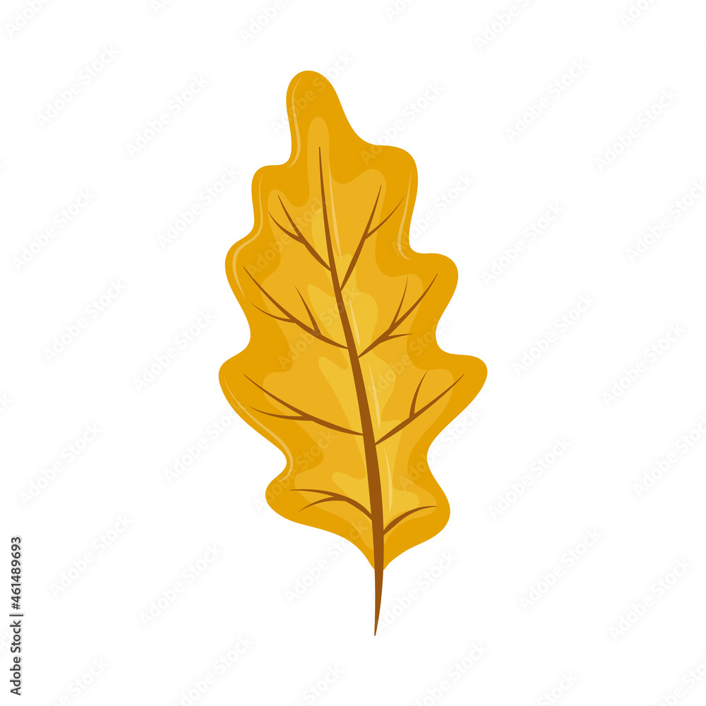 Obraz premium autumnal leaf nature