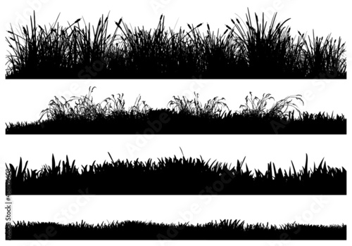 Isolated vector silhouettes of grass-covered ground. High detail reeds, dry grass, high grass and low grass. photo