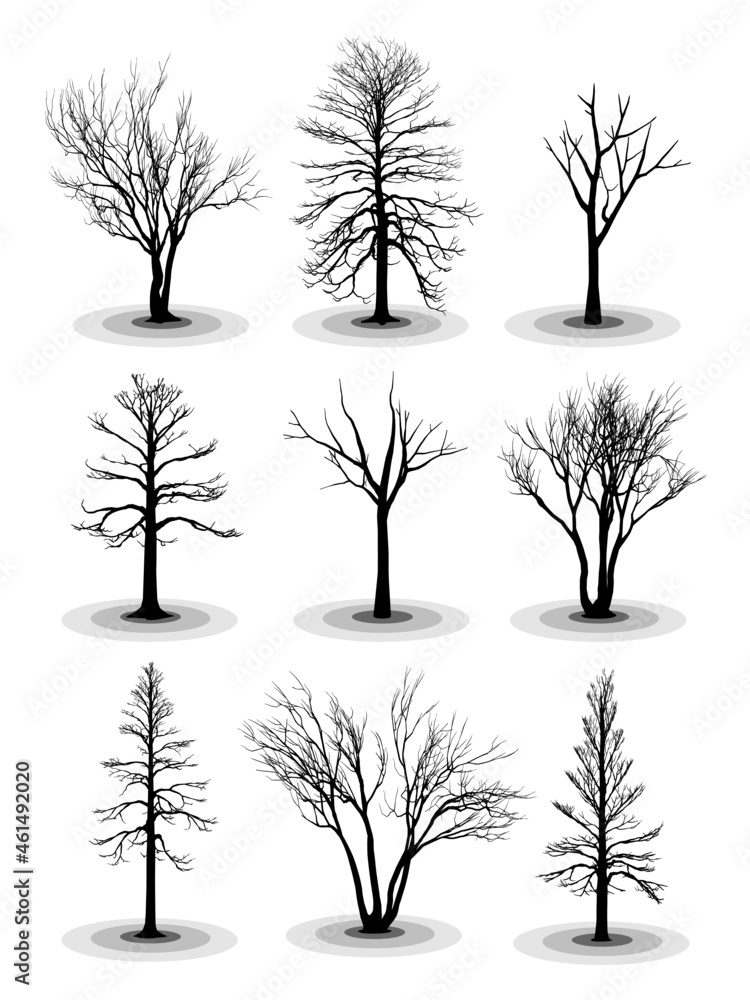 Obraz premium High detail vector silhouettes of dead or leafless trees.