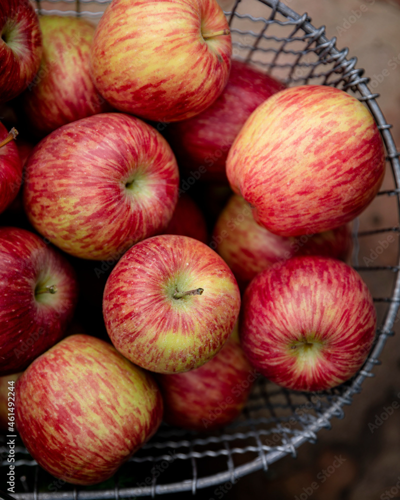 A closeup overhead view of apples in a wire basket A closeup overhead view of apples in a wire basket