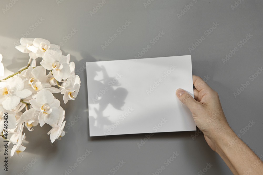 Obraz premium Hands are holding an empty white A5 form on a gray background. Layout top view