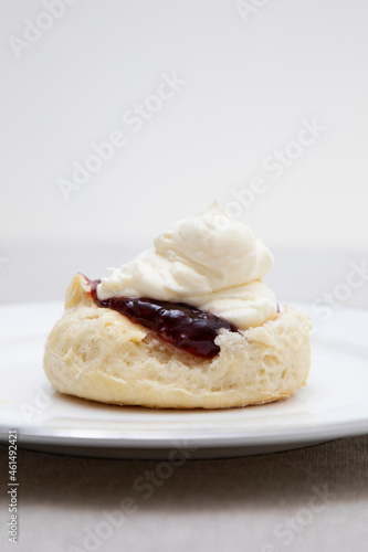 Scones with jam and cream photo