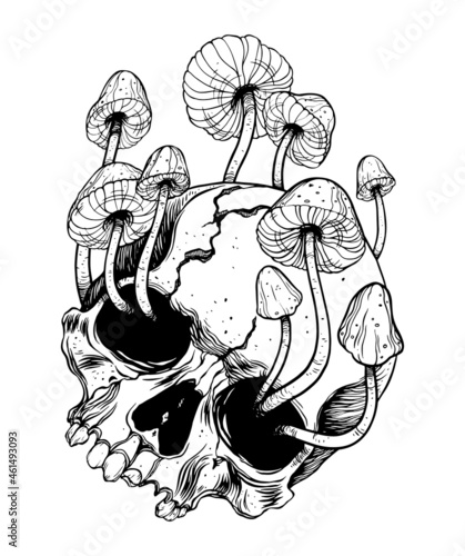 Overgrown skull. Mushrooms. Death - Life