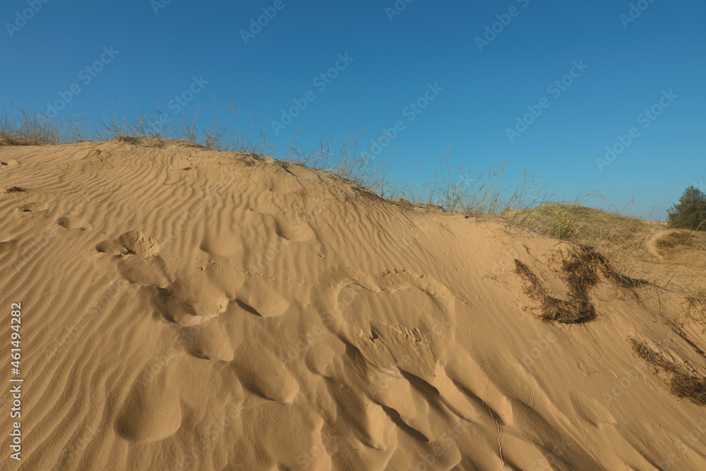 Picturesque view of desert on sunny day Picturesque view of desert on sunny day