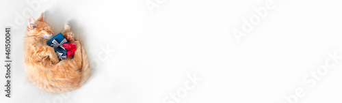 banner: a ginger kitten sleeps on a light sheet and holds blue and red gifts with bows in its paws