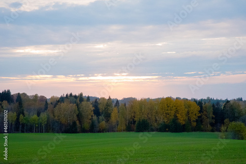 a beautiful evening sunset over autumn trees with green meadows and dramatic skies