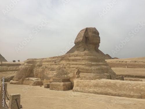 The sphinx