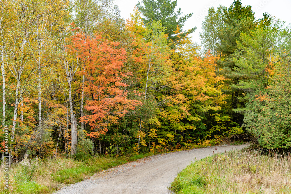 Fall Colours Colors Road Right Turn Fall Colours Colors Road Right Turn