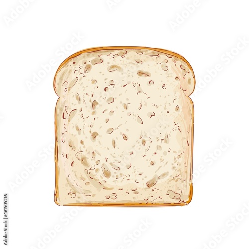 Vector Sliced bread toast. Slice of a whole wheat bread. Bakery, piece of roasted crouton for sandwich snack. Realistic illustration image.