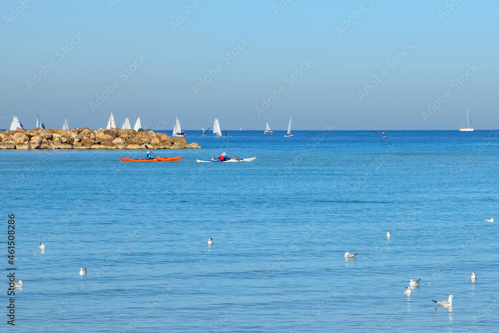 White sail sailboats float in a blue sea. Seagulls seat on the calm water surface. Gorgeous Tel Aviv Mediterranean seascape