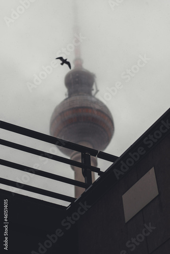 Berlin Vogel II
