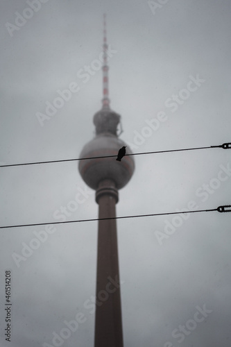 Raben Berlin I