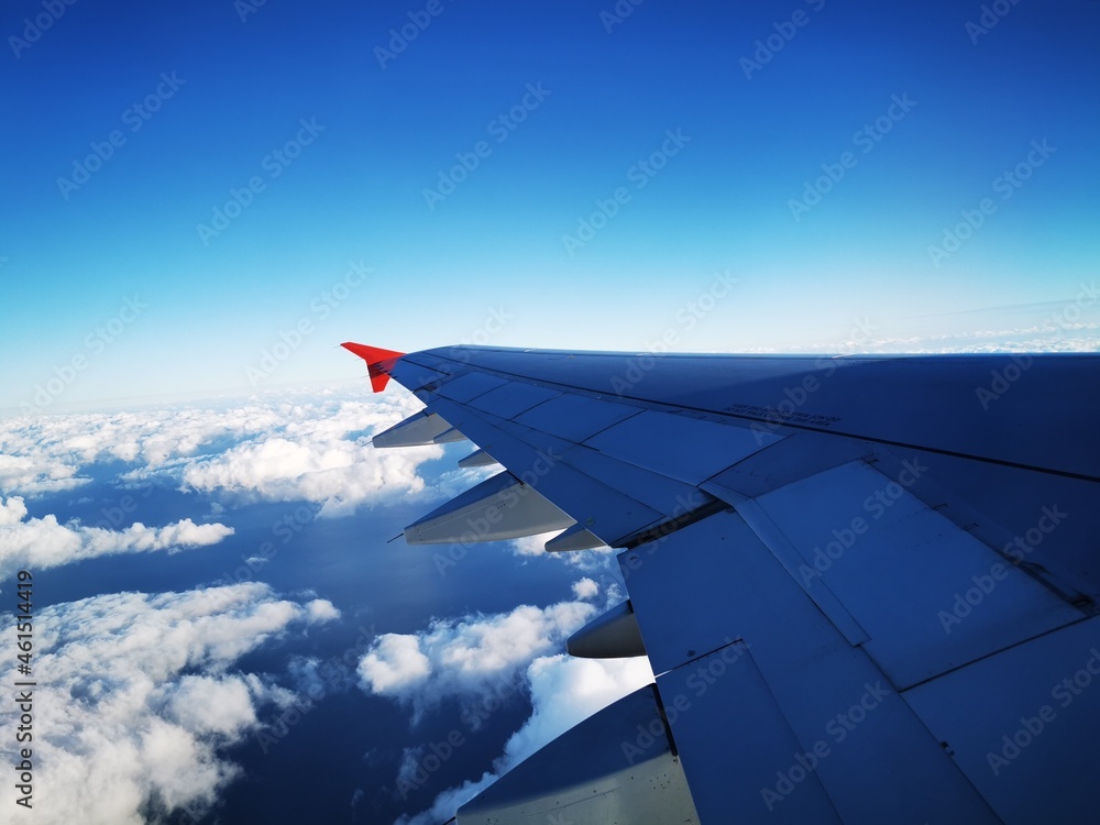 wing of the plane wing of the plane