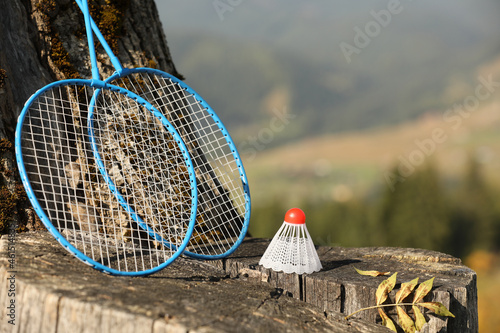 Badminton racquets and shuttlecock on wooden stump outdoors. Space for text