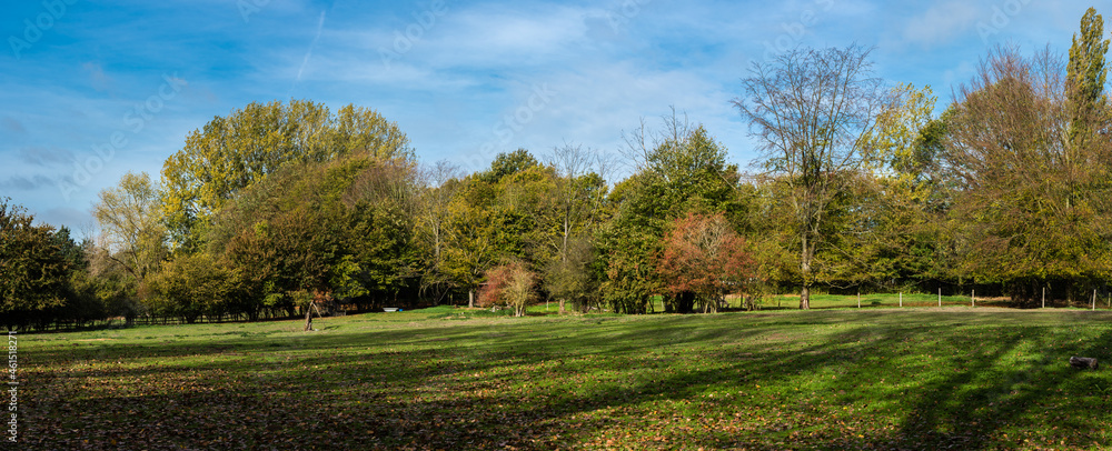 Scenic view over a city park in autumn in Jette, Brussels.