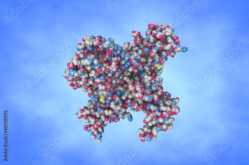 Molecular model of interleukin-15 (IL-15) quaternary complex. IL-15 is a member of the interleukin-2 family that secreted by mononuclear phagocytes after infection with viruses. 3d illustration