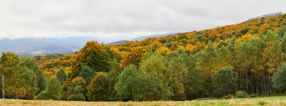 Obraz na płótnie Jesień w Bieszczadach. Drzewa w kolorach złotym, czerwonym, zielonym, żółtym. Panorama.	 w salonie