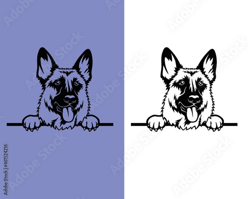 German Shepherd - Peeking Dogs vector design 