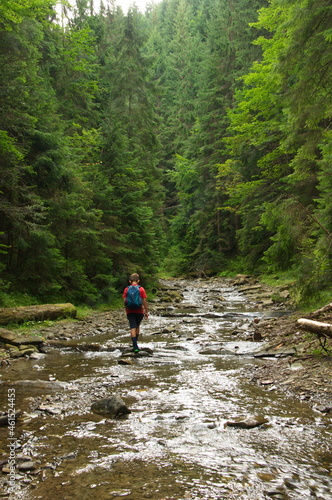 Young boy with a backpack walks along the bed of a shallow stream in a spruce forest.