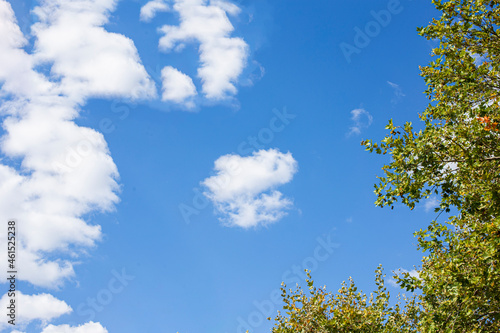 Light blue sky with fluffy white clouds and tree. Autumn is outside. Peaceful view. Free space for text.
