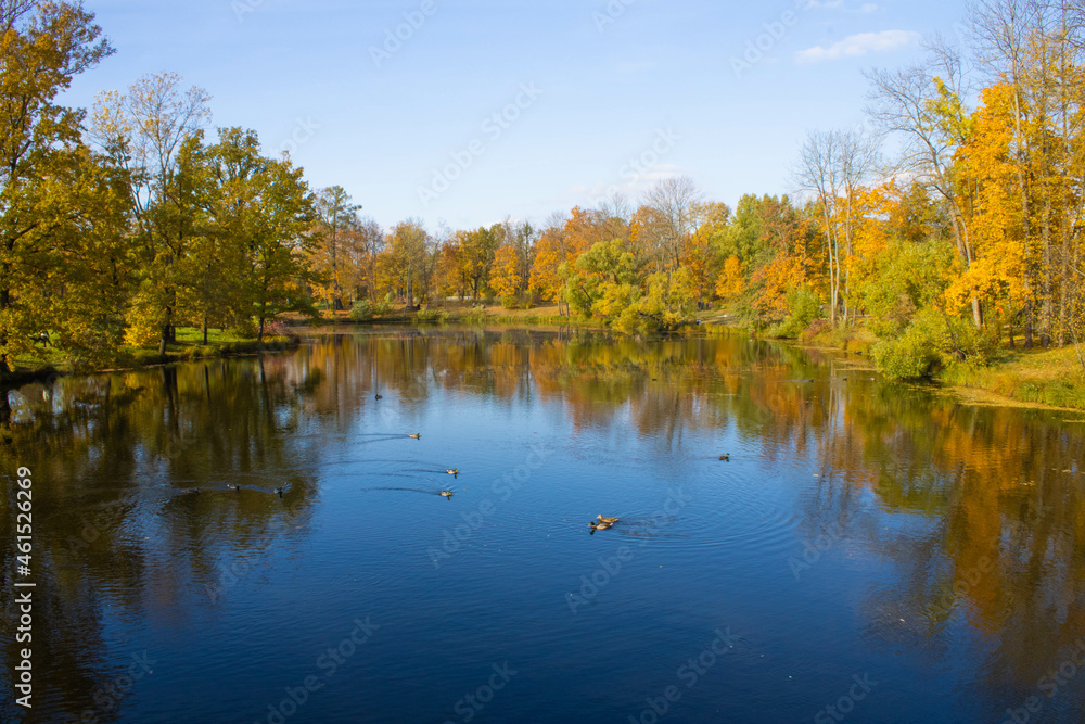 autumn trees reflected in water autumn trees reflected in water