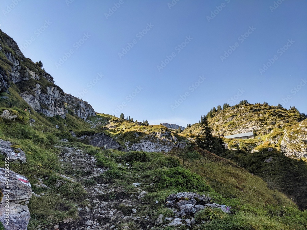 hike on the mountain silbern in the canton of uri. away through the beautiful swiss mountains past flower meadows. 