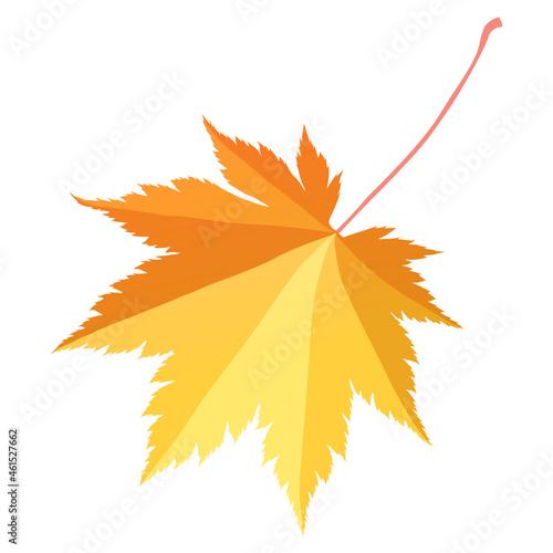 Colorful elm leaf in autumn color isolated on white background. Cartoon flat style vector illustration.