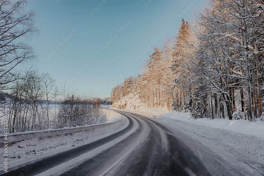 Obraz premium winter road in the forest