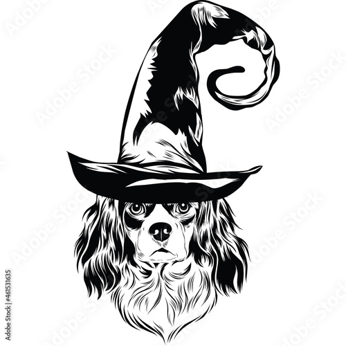 Cavalier King Charles Spaniel Dog in Witch Hat for Halloween