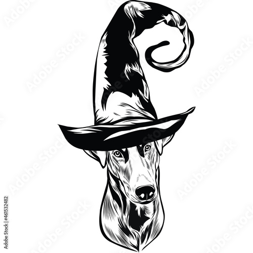 doberman Dog in Witch Hat for Halloween