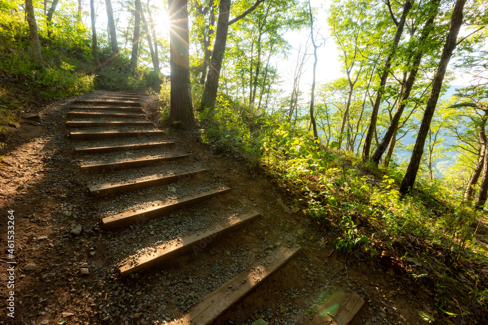 Wooden steps at an incline through forest Wooden steps at an incline through forest
