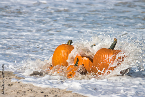 Pumpkins in the waves, on the sand, at the beach