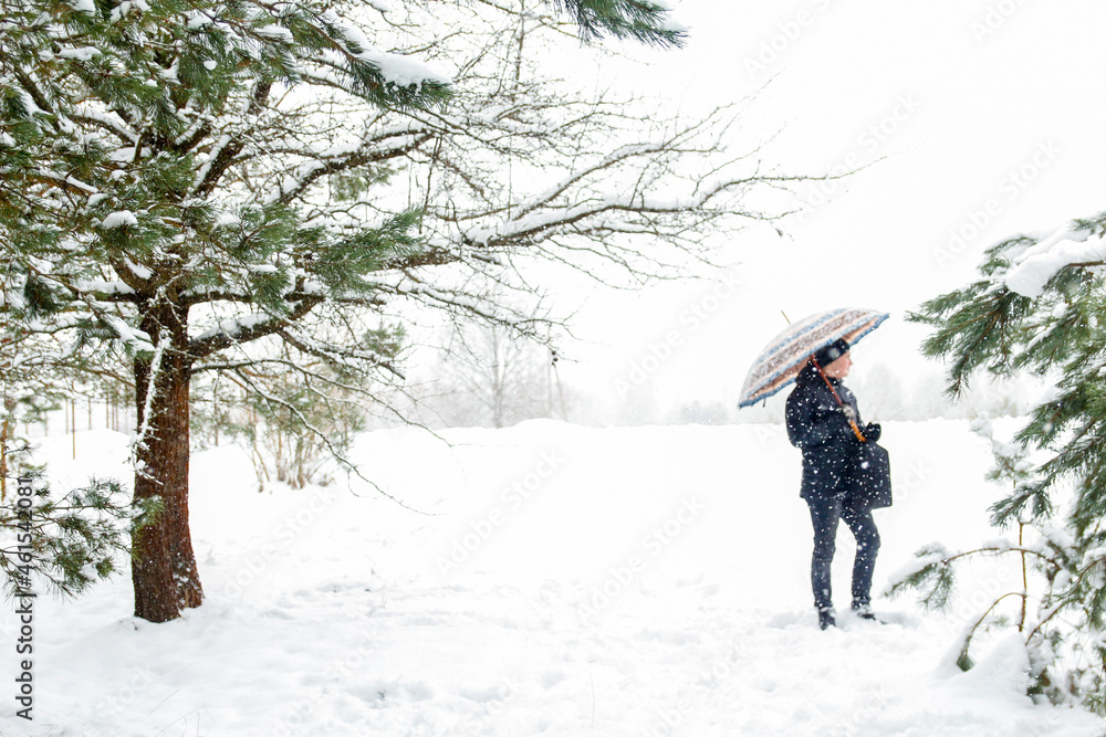 Defocus man standing or walking in snowy pine forest in winter and holding umbrella. Winter snowy woodland. Natural pine tree background. Cold frost weather in snowstorm. Out of focus
