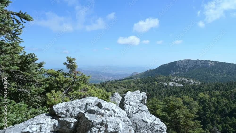 Upwards movement of the camera reveals a beautiful landscape with trees and mountains. Upwards movement of the camera reveals a beautiful landscape with trees and mountains.
