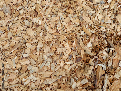 Dry wood shavings background. Full frame of wood chips. Texture of bark, irregular pieces of wood for lighting of fireplaces and barbecues.