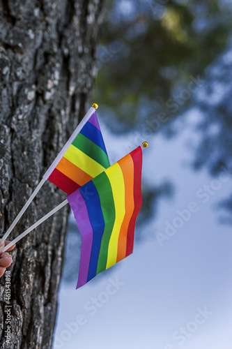 Fototapeta Naklejka Na Ścianę i Meble -  LGBT flag in the field. Pride