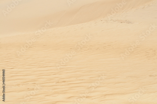 Gamboa Dunes