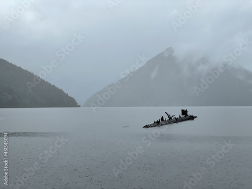 Lake Crescent, Olympic National Park in Clallam County, Washington, United States photo