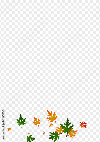 Green Maple Background Transparent Vector. Plant Design Illustration. Ocher Realistic. Bright Card. Gold Floral Single. © Vlada Balabushka