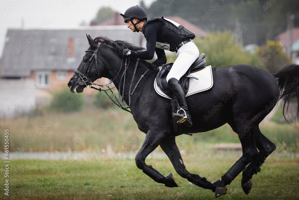 closeup portrait of rider man and black stallion horse galloping during eventing cross country competition in autumn closeup portrait of rider man and black stallion horse galloping during eventing cross country competition in autumn