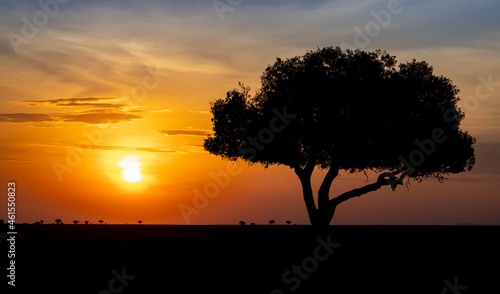 Fototapeta Naklejka Na Ścianę i Meble -  Sunrise in Africa 