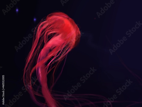 Foto jellyfish in water