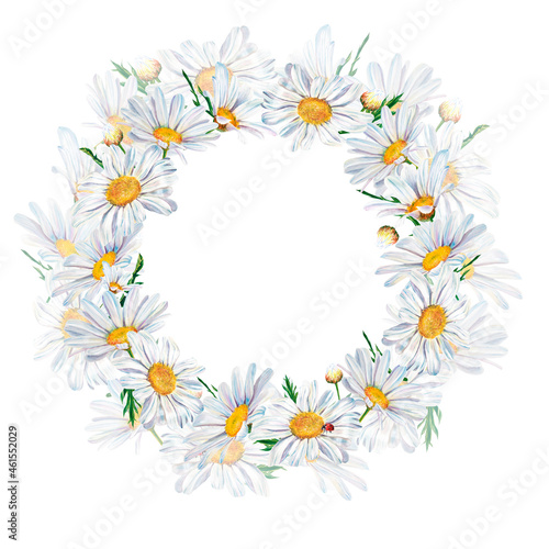 white daisy flowers watercolor illustration on white background  closeup. . Hand made drawing. wreath
