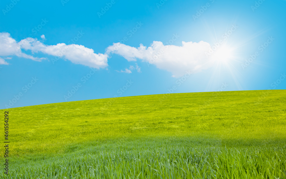 Obraz premium Beautiful landscape with green grass field