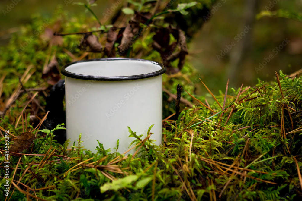 a cup of tea in the forest. forest background. moss and leaves a cup of tea in the forest. forest background. moss and leaves