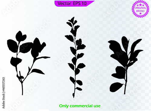 Hand drawn vector floral elements. Branches and leaves colors. Herbs and plants collection. Vintage botanical illustrations. Branches and leaves. Herbs and plants collection.