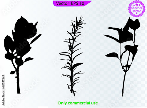 Hand drawn vector floral elements. Branches and leaves colors. Herbs and plants collection. Vintage botanical illustrations. Branches and leaves. Herbs and plants collection.