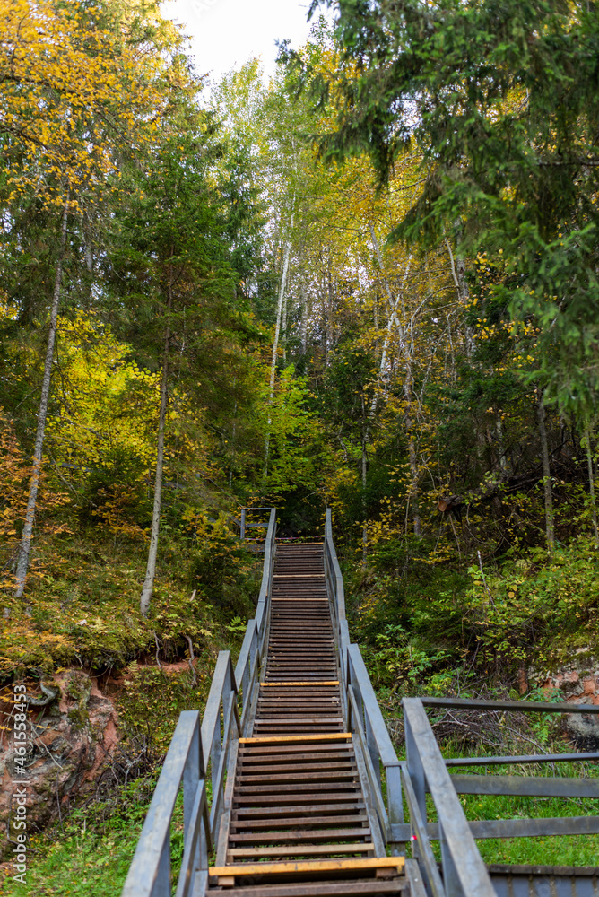Wooden stairway leading into a forest Wooden stairway leading into a forest